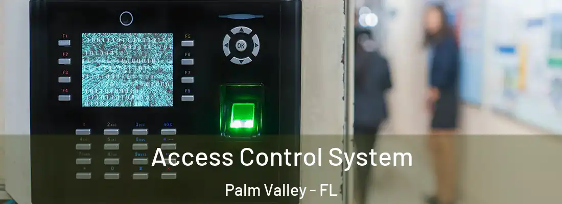 Access Control System Palm Valley - FL