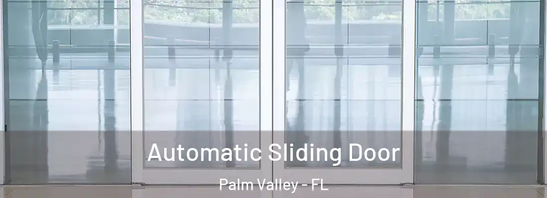  Automatic Sliding Door Palm Valley - FL