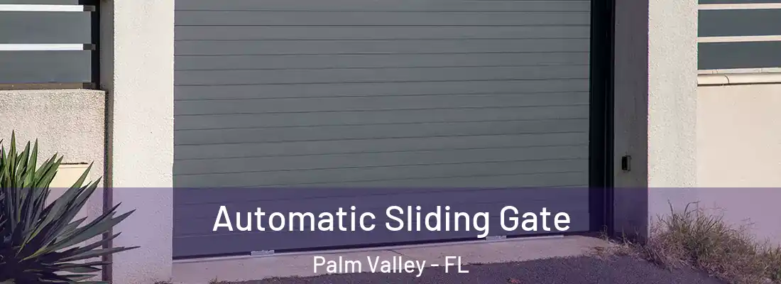 Automatic Sliding Gate Palm Valley - FL