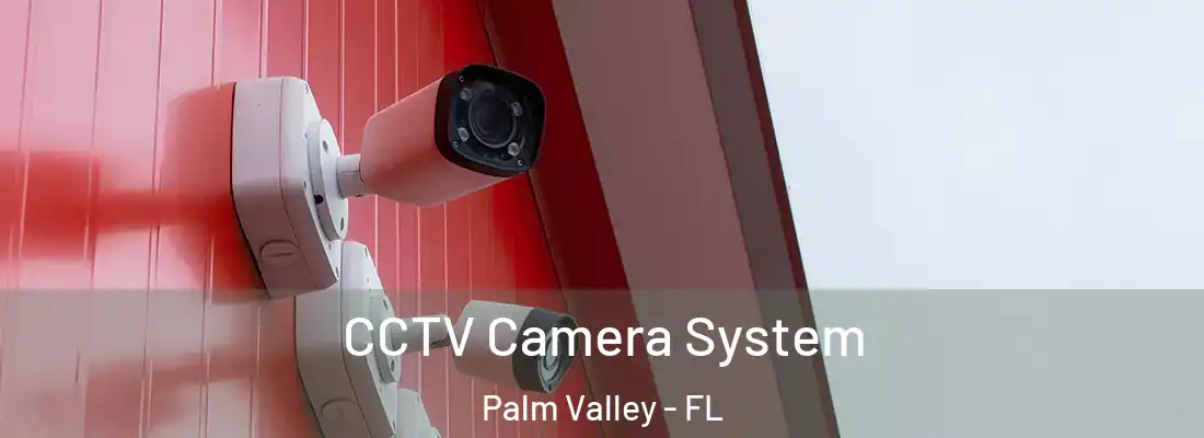  CCTV Camera System Palm Valley - FL