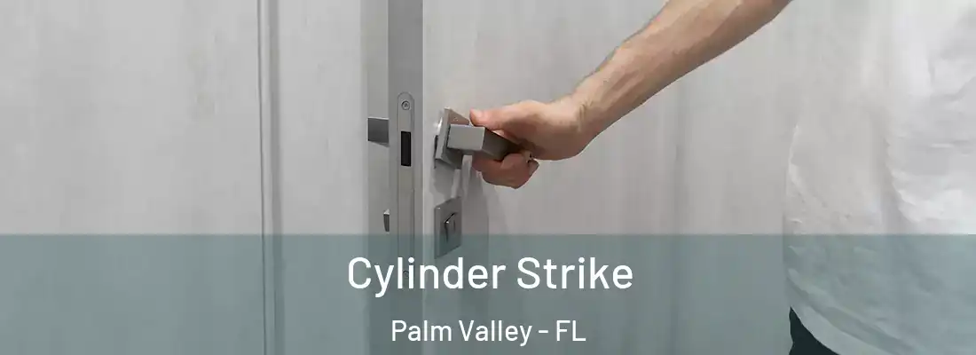 Cylinder Strike Palm Valley - FL