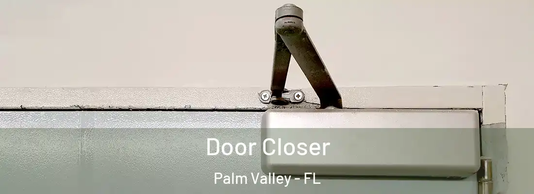 Door Closer Palm Valley - FL
