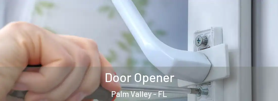 Door Opener Palm Valley - FL