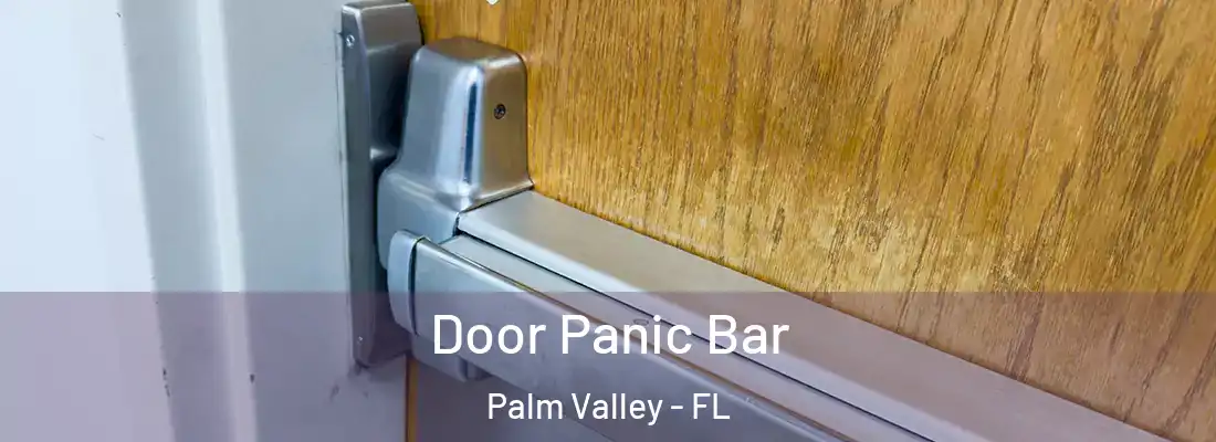 Door Panic Bar Palm Valley - FL