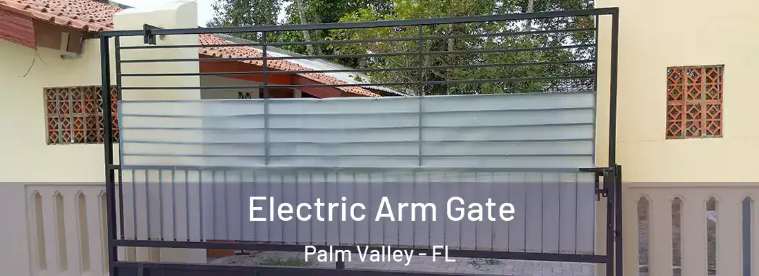  Electric Arm Gate Palm Valley - FL