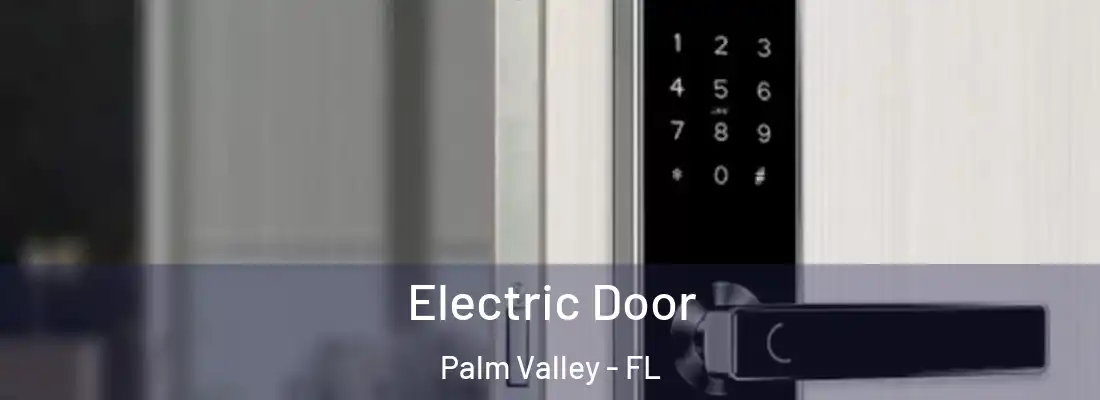 Electric Door Palm Valley - FL