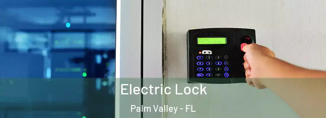  Electric Lock Palm Valley - FL