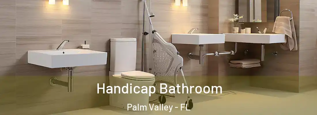 Handicap Bathroom Palm Valley - FL