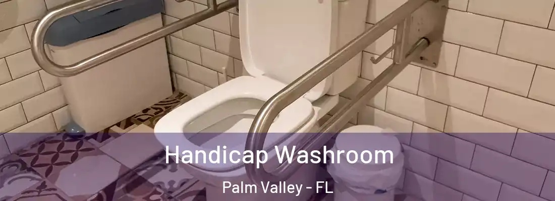 Handicap Washroom Palm Valley - FL