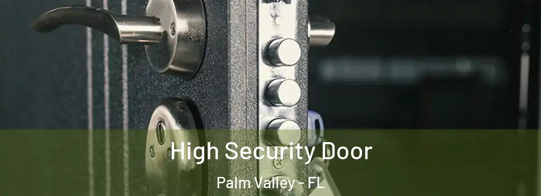 High Security Door Palm Valley - FL