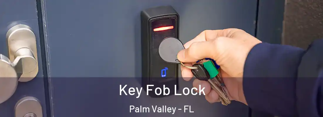 Key Fob Lock Palm Valley - FL