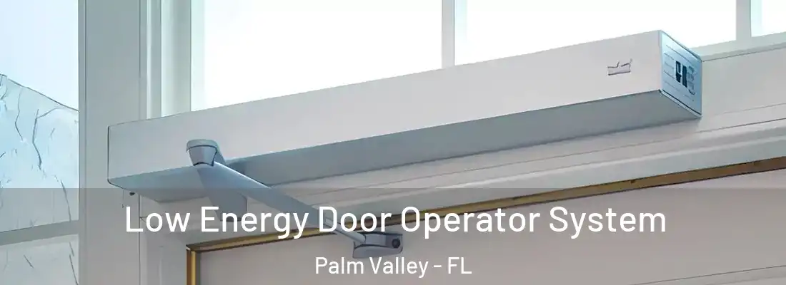  Low Energy Door Operator System Palm Valley - FL