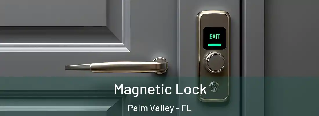 Magnetic Lock Palm Valley - FL
