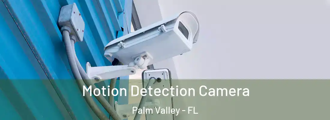 Motion Detection Camera Palm Valley - FL