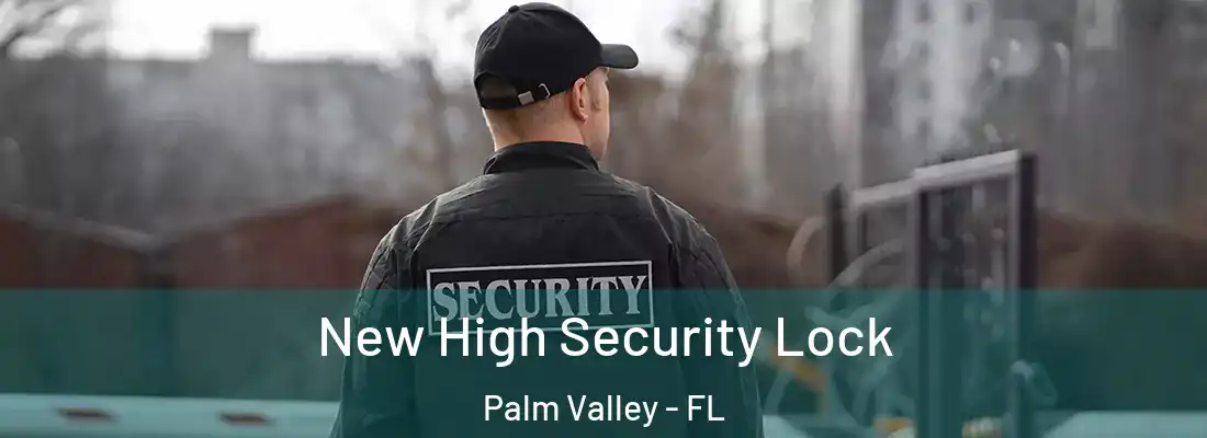 New High Security Lock Palm Valley - FL