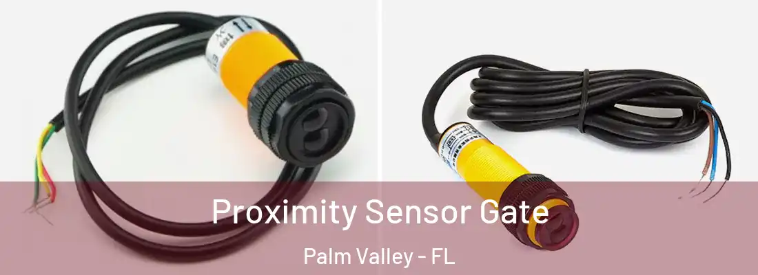 Proximity Sensor Gate Palm Valley - FL