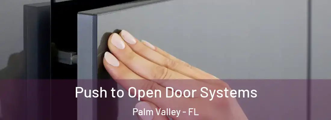 Push to Open Door Systems Palm Valley - FL