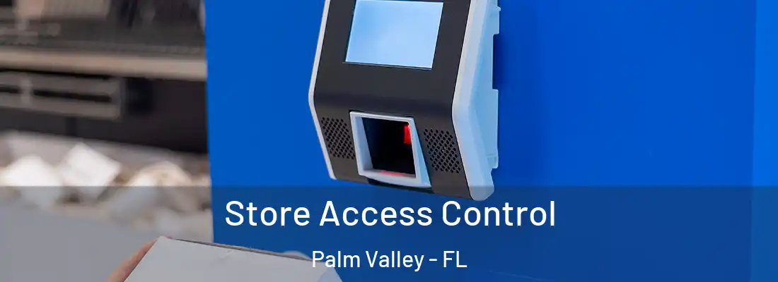 Store Access Control Palm Valley - FL